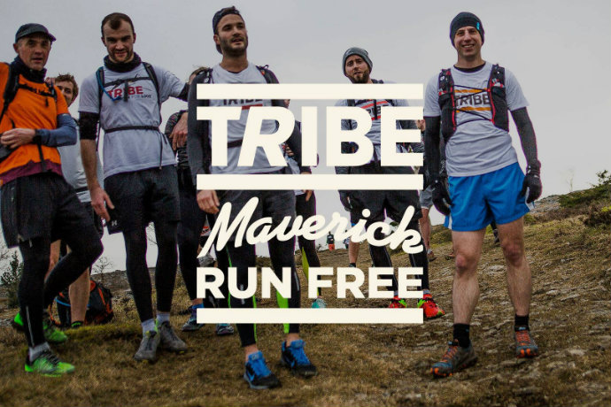 tribe maverick run free